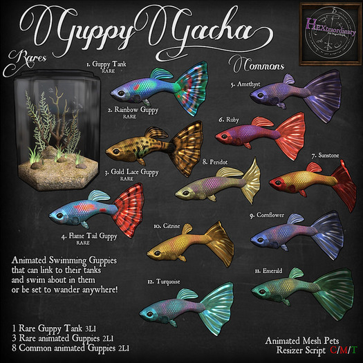 1. *HEXtraordinary* Guppy Tank - RARE 