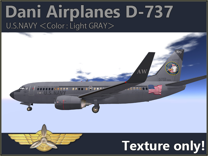 Paint D-737 (US NAVY L-GRAY)