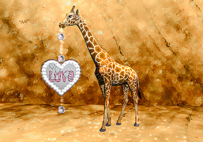 *AAP* Giraffe - Love...