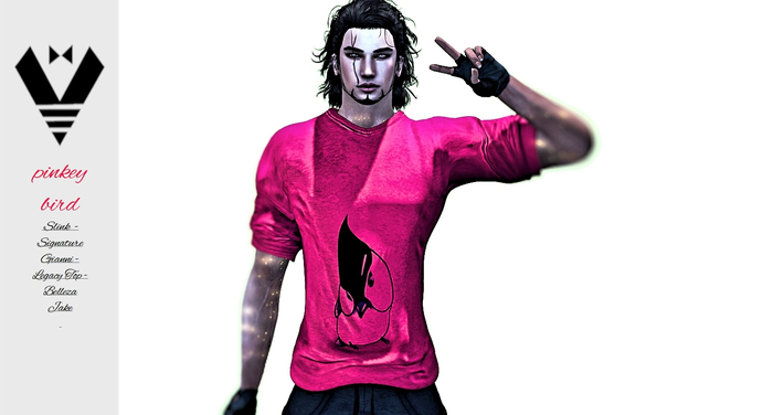 pinky bird  Sleeves Top    Unpacker HUD V1