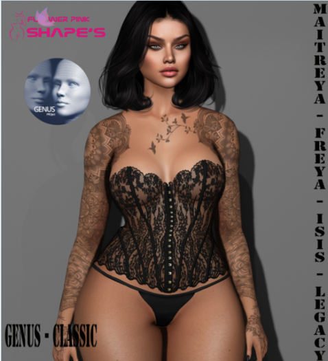 SHAPE - YANKA - GENUS - CLASSIC