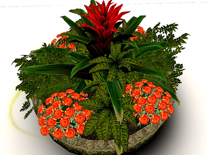 [AE] Garden Store- Chrysanthemum Patch in Cement Planter