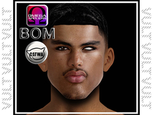 [VULT] GAEL SKIN OMEGA APPLIER & BOM
