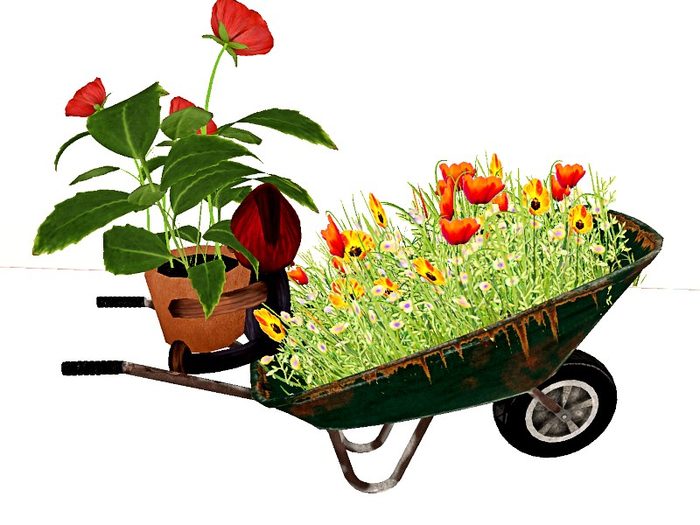 [AE] Garden Store- Gnome on a Wheelbarrow