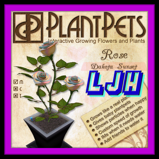 PlantPet Seed [Rose *Dakota Sunset*]