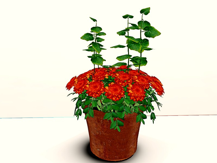 [AE] Garden Store-Orange Chrysanthemum Patch