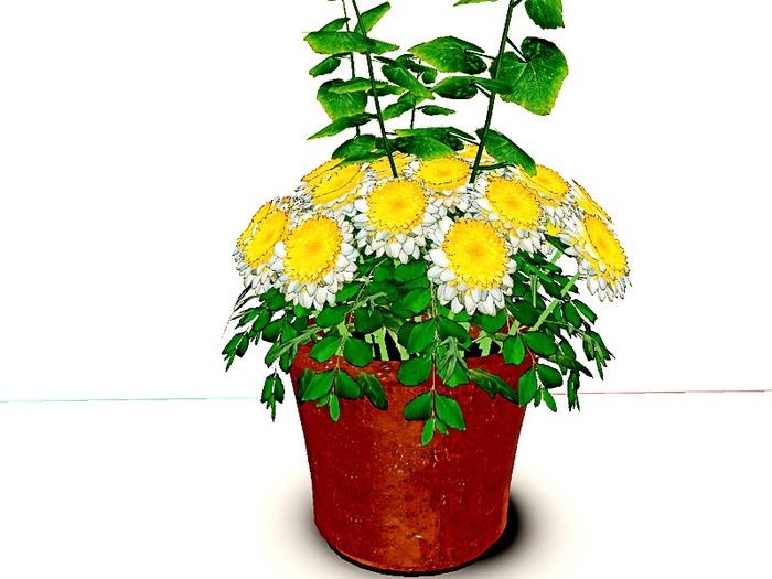 [AE] Garden Store-Yellow Chrysanthemum Patch