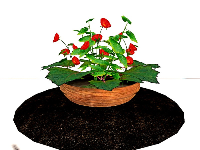 [AE] Garden Store- Plants in Clear Water Terracota Basin