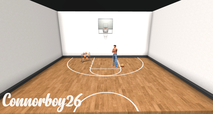 -David Heather-Halfcourt Backdrop RARE