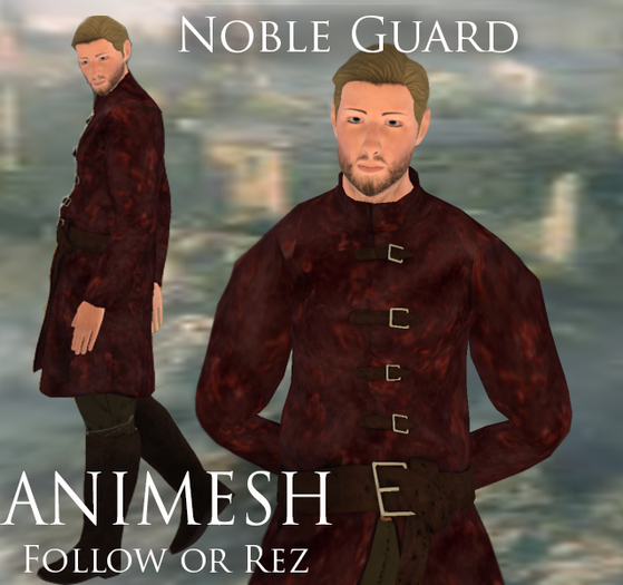 Jewel: Animesh Noble Guard (Follow/Rez)