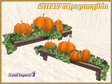 SHELF - Ripe pumpkin (1 LI) (Full perm)