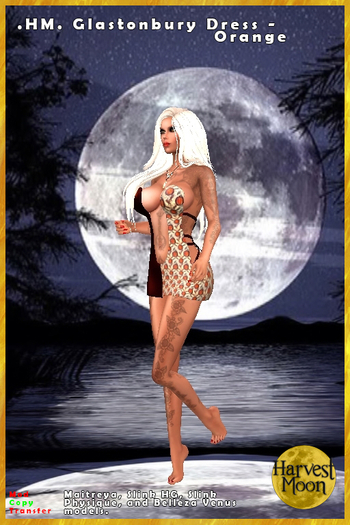 .HM. Glastonbury Dress - Orange [Add and Click]