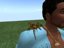 TM Hairy Spider Shoulder Pet