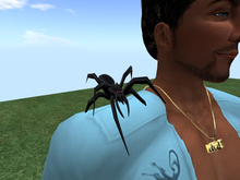 TM Black Spider Shoulder Pet - Animated