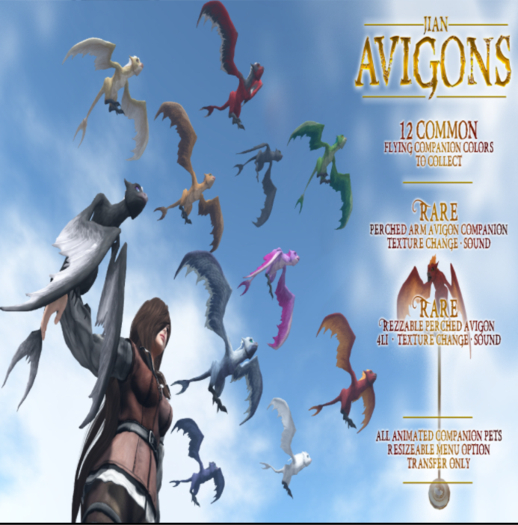 JIAN :: Avigon - Snowflake (BOX)