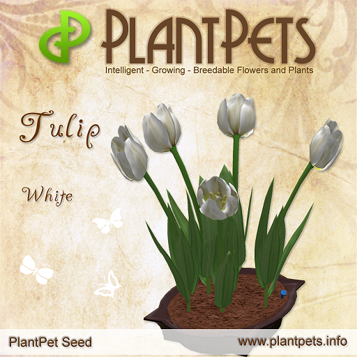 PlantPet Seed [Tulip *White*]