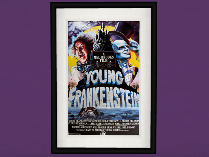 BOX [Misako] Movie Frame Young Frankenstein