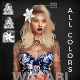 Wasabi // Sora Mesh Hair - All colors