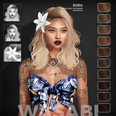 Wasabi // Sora Mesh Hair - Browns