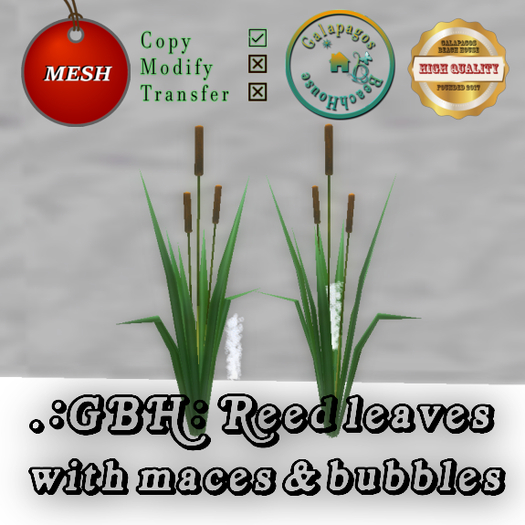 .:GBH:. Reed leaves with maces
