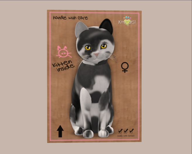 KittyCatS Box - Chateau Cat - Grey & White