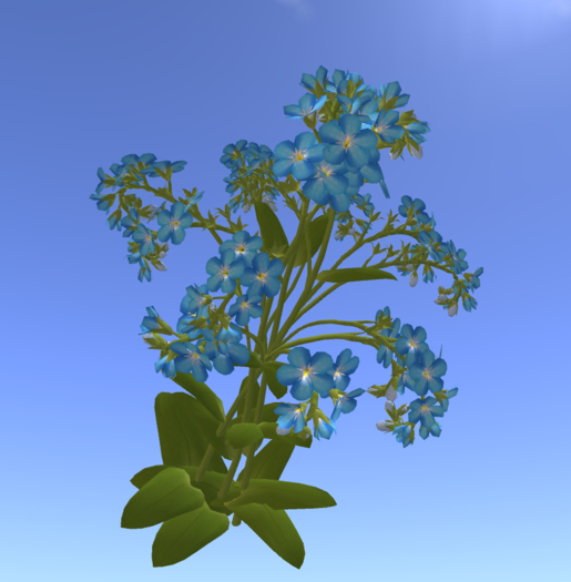 bouquet of blue wildflowers  Bento