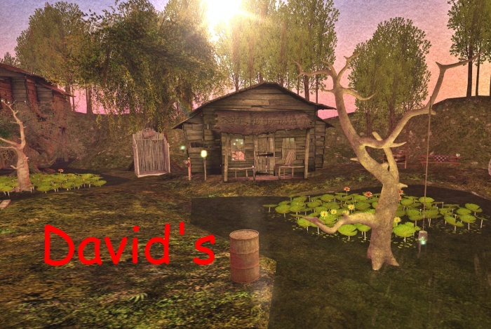 Swamplife