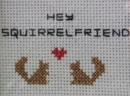 Hey Squirrelfriend Needlework Texture