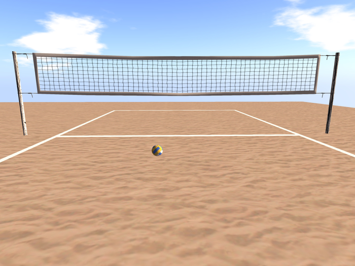 Demo Full Size Volleyball Game