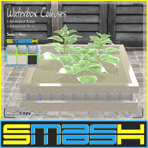 SMASH - Waterbox Coleuses
