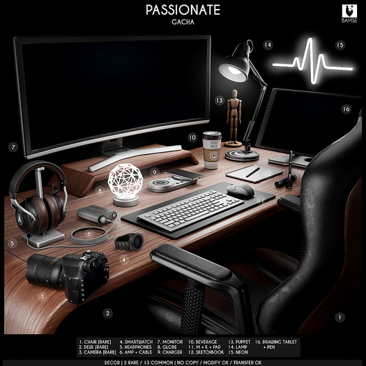 6. BAMSE : Passionate - Amp + cable