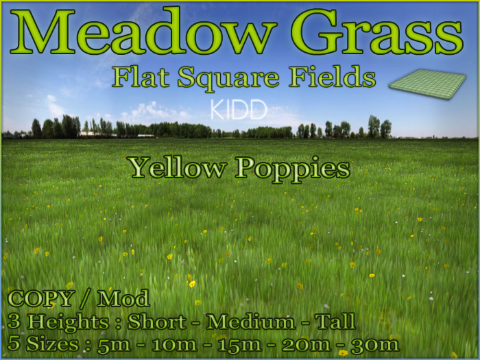 KIDD Meadow*FlatSquare*5sizes*3heights*YellowPoppy*CopyMod