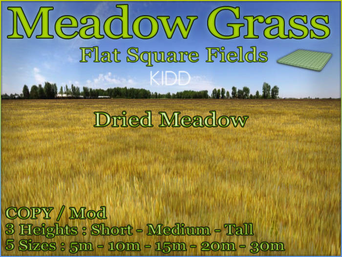 KIDD Meadow*FlatSquare*5sizes*3heights*DriedMeadow*CopyMod