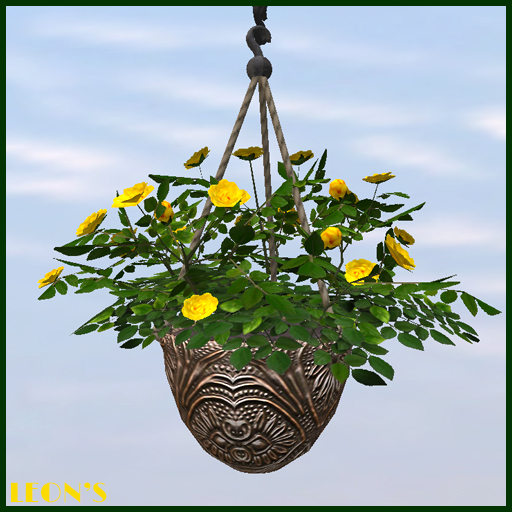 Yellow Rose in hanging Pot "Italian Mask" - RESIZE COPY