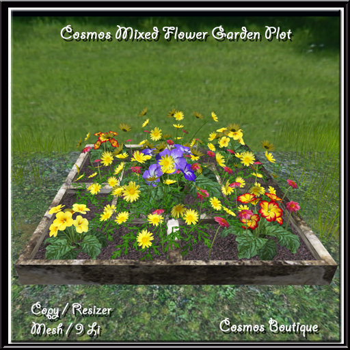 Cosmos Mixed Flower Garden Plot (BOX)