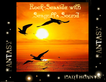 Rock-Seaside with Seagulls Sound