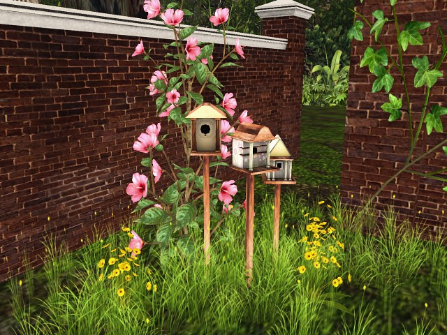 [AE] Garden Store- Bird Houses & Hibiscus