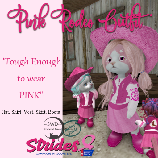 DI- Strides Pink Rodeo Outfit (add)