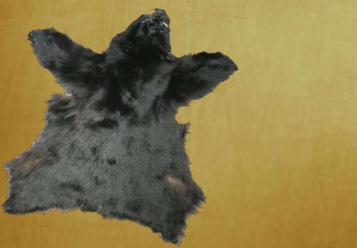 DD's Rug (Black Bear) 