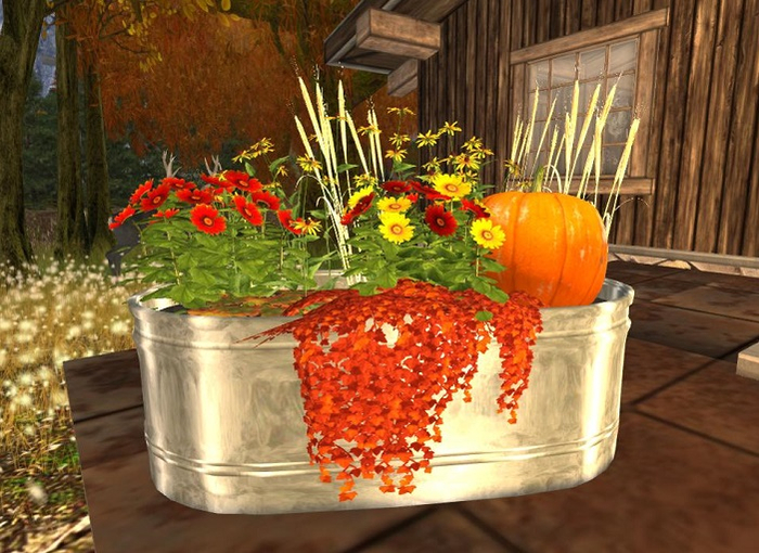 Autumn Water Trough Garden
