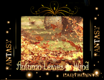 Rock-Autumn Leaves in Wind Sounds