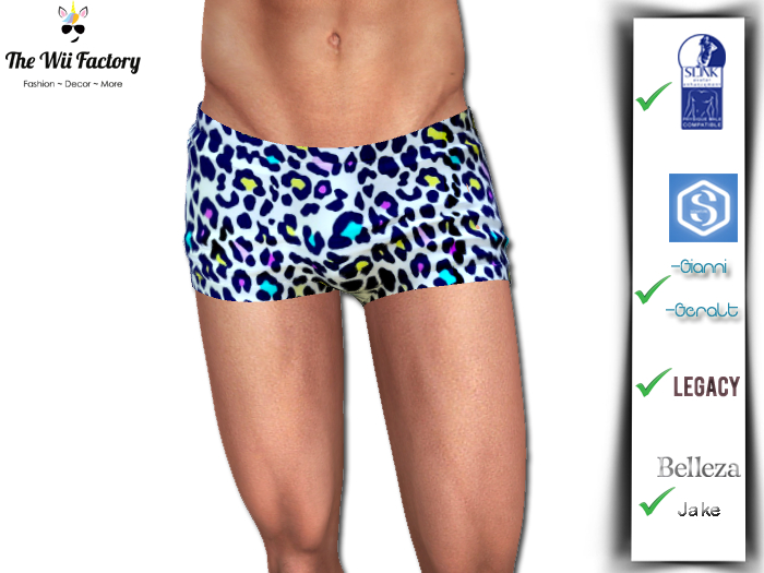 Boxers Wii Funny Zebra