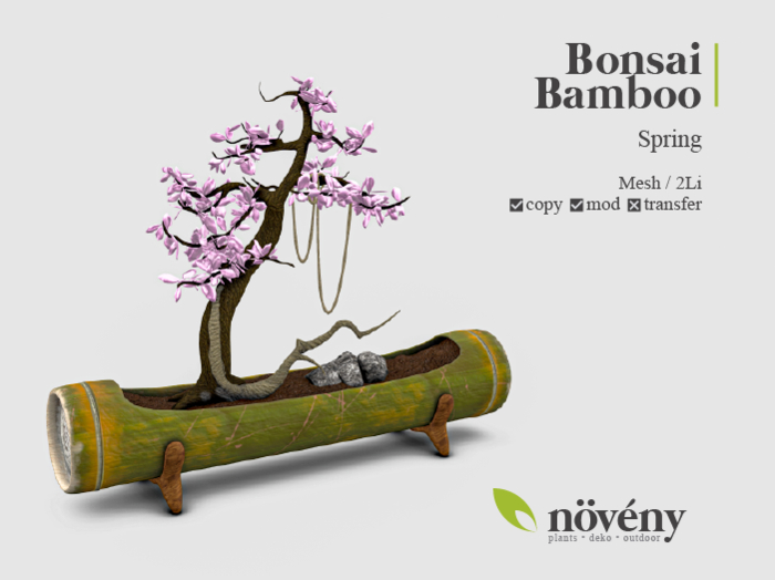 Noveny - Bonsai Bamboo - Spring