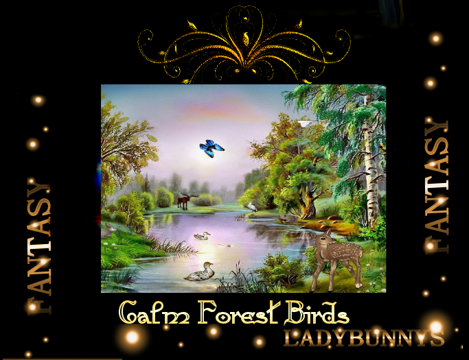 Rock-Calm Forest Birds Sound