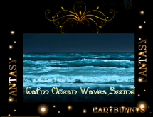 Rock-Calm Ocean Waves