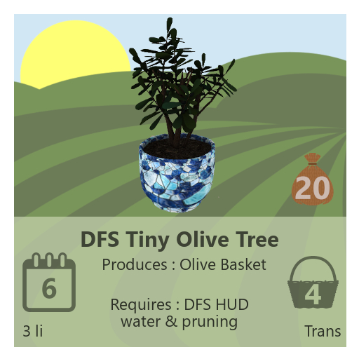DFS Tiny Olive Tree