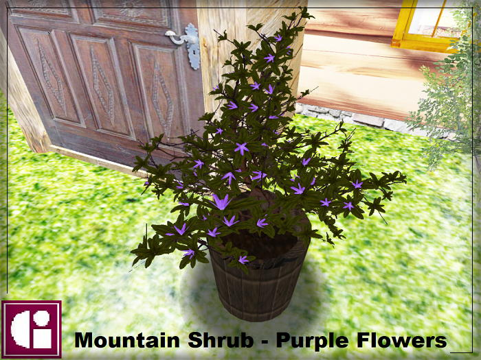 [Box Gi_Creations] Vase wich Mountain Shrub - Purple Flowers