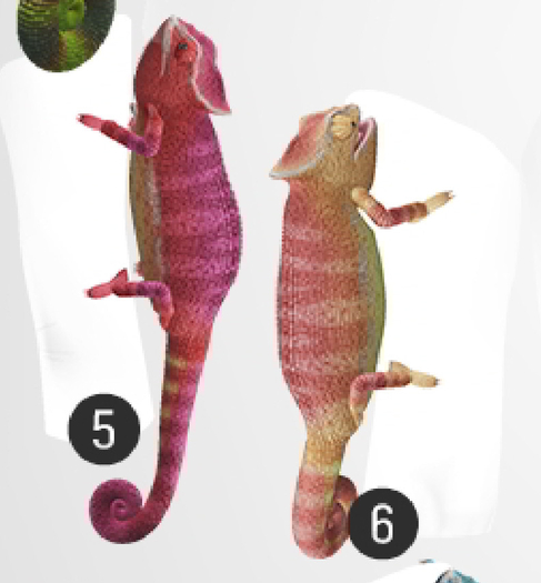 SEmotion Libellune Chameleon Animesh #6
