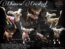10. *HEXtraordinary* Chinese Crested - Midnight Companion