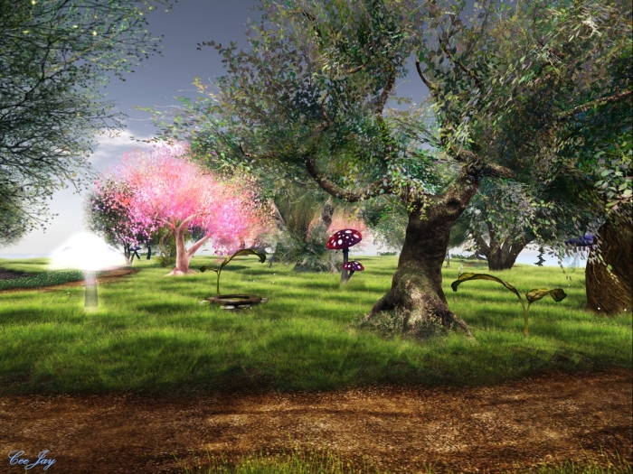 Mystical Woods [C]